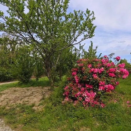 La Belangerie * Saint-Loup (Manche)
